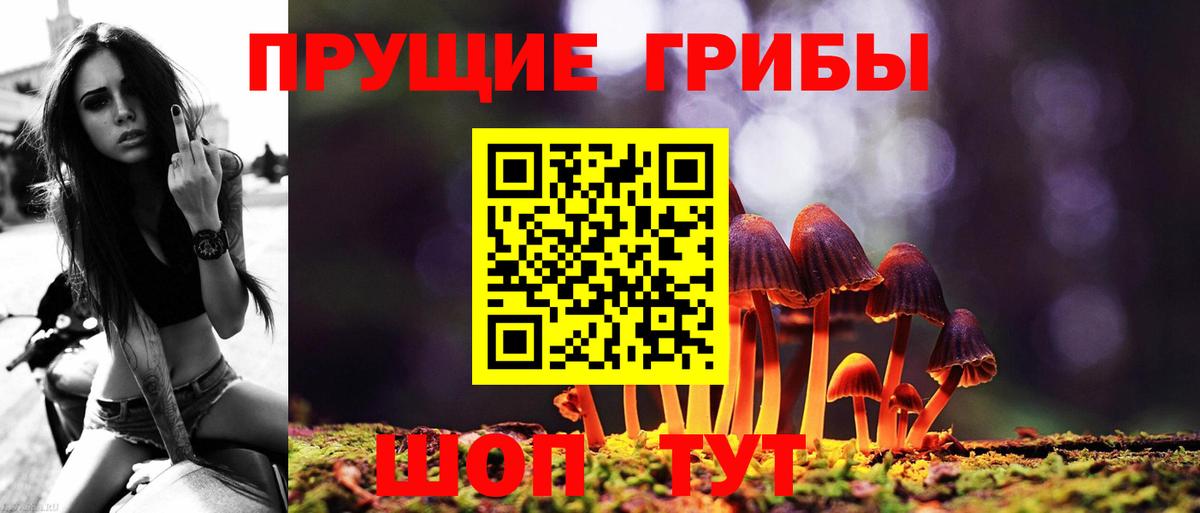 Псилоцибиновые грибы Psilocybine cubensis Донецк