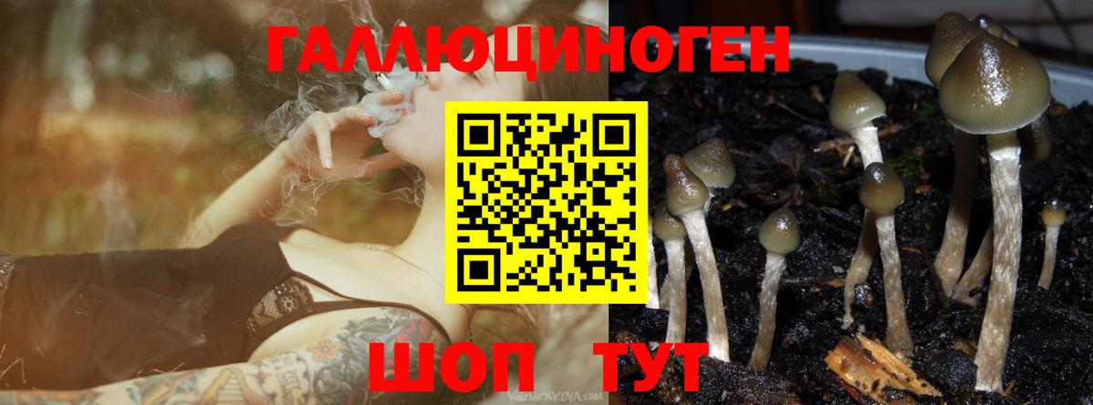 Донецк  Галлюциногенные грибы ЛСД  Псилоцибиновые грибы ЛСД  Вход с VPN 
